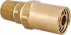 Dixon Valve & Coupling - 1/2 NPTF, Reusable Hose Male Fitting - 1/2" Hose ID x 7/8" Hose OD - Benchmark Tooling