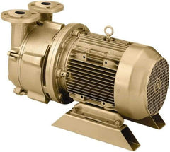 DEKKER Vacuum Technologies - 29 Hg Max, 2-1/2" ANSI 150# RF Flanged Inlet & Discharge, Single Stage Liquid Ring Vaccum Pump - 150 CFM, 10 hp, Cast Iron Housing, 316 Stainless Steel Impeller, 1,750 RPM, 230/460 Volts - Benchmark Tooling