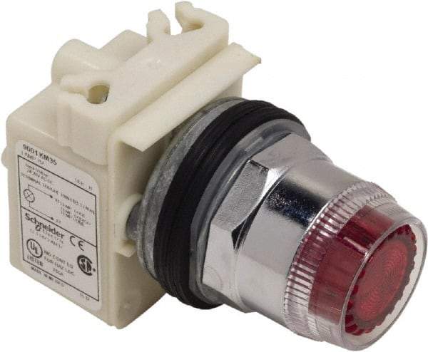 Schneider Electric - 1.18 Inch Mount Hole, Extended Straight, Pushbutton Switch Only - Round, Red Pushbutton, Illuminated, Momentary (MO), Weatherproof, Dust and Oil Resistant - Benchmark Tooling