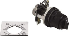 Square D - 2,000 Ohm, 30mm, 300 VAC Potentiometer - 2 Watts, Nonilluminated, Knob Operated, NEMA 4, 13 - Benchmark Tooling