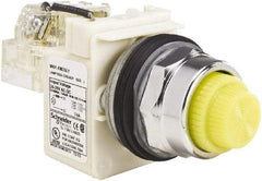 Schneider Electric - 120 VAC Yellow Lens LED Pilot Light - Round Lens, Screw Clamp Connector - Benchmark Tooling