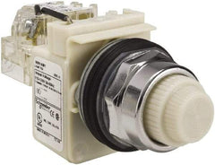 Schneider Electric - 120 VAC White Lens Indicating Light - Screw Clamp Connector - Benchmark Tooling