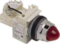 Schneider Electric - 120 VAC Red Lens Indicating Light - Screw Clamp Connector - Benchmark Tooling