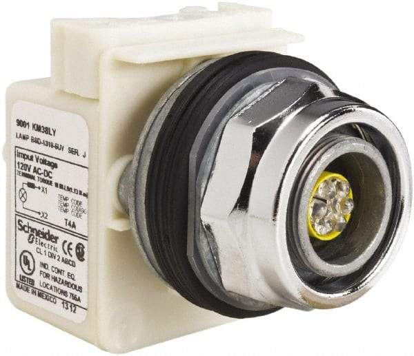 Schneider Electric - 120 V LED Indicating Light - Screw Clamp Connector - Benchmark Tooling