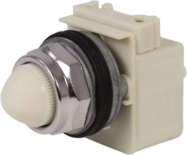 Schneider Electric - 120 VAC White Lens Indicating Light - Screw Clamp Connector - Benchmark Tooling