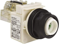 Schneider Electric - 28 V Green Lens LED Pilot Light - Round Lens, Screw Clamp Connector, 54mm OAL x 42mm Wide, Vibration Resistant - Benchmark Tooling