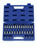 32 Piece - 1/4 & 3/8" Drive - Bit Socket Set - Benchmark Tooling