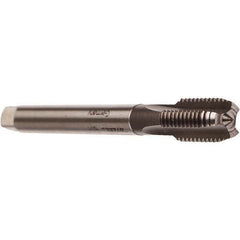 Emuge - 1-1/8 - 11" BSPP, 5 Flutes, Modified Bottoming Chamfer, Bright Finish, Cobalt British Standard Pipe Tap - 1.1024" Shank Diam, 0.8661" Square Size, Series Rekord A - Exact Industrial Supply