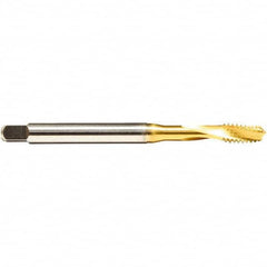 Emuge - 1/4-28 UNF 3 Flute 2BX Modified Bottoming Spiral Flute Tap - Cobalt, TiN Finish, 3.15" OAL, Right Hand Flute, Right Hand Thread, Series Rekord D - Benchmark Tooling