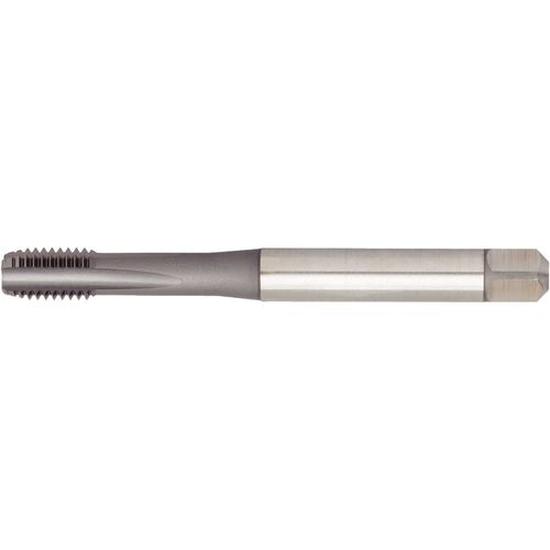 GT405003 M6X1 6HX STFL SBOTT 371 - Exact Industrial Supply