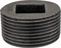 Value Collection - Class 150, 1-1/2" Black Pipe Countersunk Plug - Threaded, Malleable Iron - Benchmark Tooling