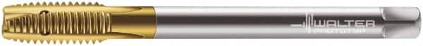 Walter-Prototyp - M16x2.00 Metric, 3 Flute, TiN Finish, Powdered Metal Spiral Point Tap - Plug Chamfer, Right Hand Thread, 110mm OAL, 25mm Thread Length, 12mm Shank Diam, 6H Class of Fit, Series 7026345 - Exact Industrial Supply