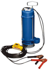 Warren Rupp - 1/3 hp, 12 VDC Amp Rating, 12 VDC Volts, Nonautomatic Operation, Dewatering Pump - Aluminum Housing - Benchmark Tooling