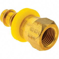 Value Collection - Female SAE45 Barbed Thread Female Swivel Barbs - Benchmark Tooling