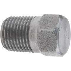 Value Collection - Size 1/8", Class 3,000, Forged Carbon Steel Black Pipe Hex Plug - NPT End Connection - Benchmark Tooling