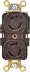 Hubbell Wiring Device-Kellems - 250 VAC, 15 Amp, L6-15R NEMA, Self Grounding Receptacle - 2 Poles, 3 Wire, Female End, Brown - Benchmark Tooling