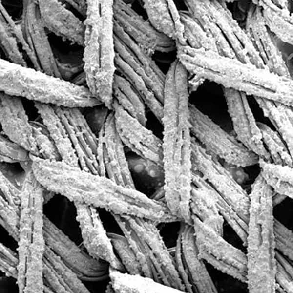 3M - Disc Kits Abrasive Type: Non-Woven Disc Diameter (Inch): 3; 5; 6 - Benchmark Tooling