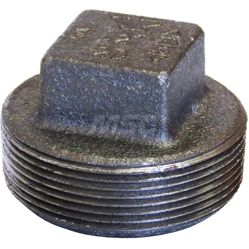 Black Square Plug: 2″, 125 psi, Threaded Cast Iron, Black Finish, Class 125