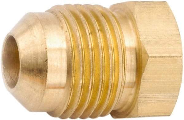 ANDERSON METALS - 3/8" Tube OD, 45° Lead Free Brass Flared Tube Plug - Flare Ends - Benchmark Tooling