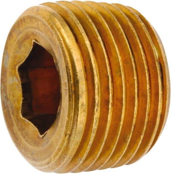 ANDERSON METALS - 3/4-14 Male Thread, Lead Free Brass Industrial Pipe Hollow Hex Plug - MNPT, 1,000 psi - Benchmark Tooling