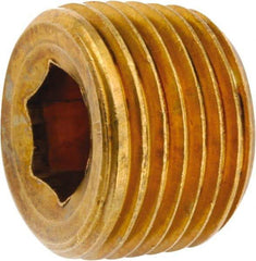ANDERSON METALS - 1/2-14 Male Thread, Lead Free Brass Industrial Pipe Hollow Hex Plug - MNPT, 1,000 psi - Benchmark Tooling