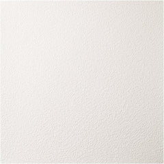 Genesis - Pack of 12 Stucco Pro 23-3/4" x 23-3/4" x 0.197" Vinyl Ceiling Tiles - Benchmark Tooling