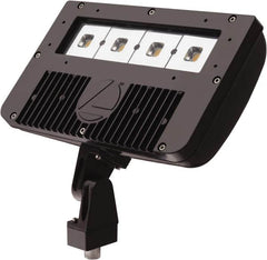 Lithonia Lighting - 1 Head, 120-277 Volt, 54 Watt, LED Floodlight Fixture - Knuckle Mount, 3-1/8" Long x 12-7/8" Wide x 7-3/4" High, Aluminum Housing - Benchmark Tooling