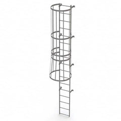 TRI-ARC - Rolling & Wall Mounted Ladders & Platforms Type: Fixed Ladder Style: Safety Cage - Benchmark Tooling