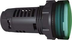 Schneider Electric - 120 V Green Lens LED Pilot Light - Benchmark Tooling