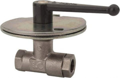 Legris - 3/4" Pipe, Female Port, Nickel Plated Brass Standard Ball Valve - Inline - One Way Flow, FBSPP x FBSPP Ends, Lever Handle, 580 WOG - Benchmark Tooling