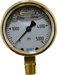 Wika - 2-1/2" Dial, 1/4 Thread, 0-5,000 Scale Range, Pressure Gauge - Lower Connection Mount, Accurate to 1.5% of Scale - Benchmark Tooling