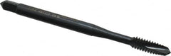 OSG - #6-32 UNC, 2 Flute, Oxide Finish, Vanadium High Speed Steel Spiral Point Tap - Plug Chamfer, Right Hand Thread, 2" OAL, 11/16" Thread Length, 0.141" Shank Diam - Exact Industrial Supply