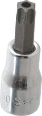 SK - 3/8" Drive, T50 Torx Bit Socket - 2" OAL, Tamper Resistant - Benchmark Tooling