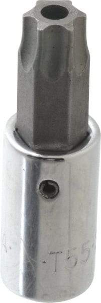 SK - 3/8" Drive, T55 Torx Bit Socket - 2" OAL, Tamper Resistant - Benchmark Tooling