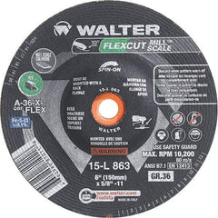 WALTER Surface Technologies - 6" Diam, 36 Grit Surface Grinding Wheel - Benchmark Tooling