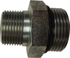 Parker - 1-7/8 - 12 x 1-1/2 Male Thread, Stainless Steel Industrial Pipe Hex Nipple - Male SAE-ORB x Male NPTF, 3,000 psi - Benchmark Tooling