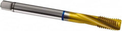 Guhring - M6x0.50 Metric Fine 3 Flute 6H Modified Bottoming Spiral Flute Tap - Cobalt, TiN Finish, 80mm OAL, Right Hand Flute, Right Hand Thread, D3/D4, Series 2897 - Benchmark Tooling