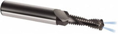 Guhring - M10x1.25 Metric Fine, 0.3465" Cutting Diam, 2 Flute, Solid Carbide Helical Flute Thread Mill - Internal Thread, 26.6mm LOC, 80mm OAL, 12mm Shank Diam - Benchmark Tooling