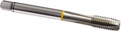 Guhring - M24x1.50 Metric Fine, 4 Flute, Bright Finish, Cobalt Spiral Point Tap - Plug Chamfer, Right Hand Thread, 140mm OAL, 6H Class of Fit, Series 827 - Exact Industrial Supply