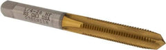 Hertel - 1/4-28 UNF 3B 4 Flute TiN Finish High Speed Steel Straight Flute Standard Hand Tap - Plug, Right Hand Thread, 2-1/2" OAL, 1" Thread Length, H3 Limit - Exact Industrial Supply