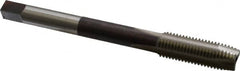 Hertel - M16x2.00 Metric Coarse 3 Flute D7 High Speed Steel Spiral Point Extension Tap - Plug Chamfer, 6" OAL, 6H Class of Fit - Benchmark Tooling