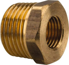 Parker - 1/2 Male Thread x 1/4 Female Thread, Brass Industrial Pipe Hex Bushing - MBSPT x FBSPP, 1,000 psi - Benchmark Tooling