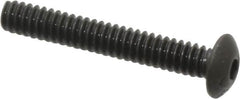 Value Collection - #4-40 UNC Hex Socket Drive, Button Screw - Alloy Steel, Black Oxide Finish, Fully Threaded, 3/4" Length Under Head - Benchmark Tooling