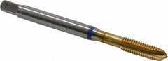 Guhring - M5x0.80 Metric Coarse, 3 Flute, TiN Finish, Powdered Metal Spiral Point Tap - Plug Chamfer, Right Hand Thread, 2-3/8" OAL, 0.551" Thread Length, 0.194" Shank Diam, 6H Class of Fit, Series 3906 - Exact Industrial Supply