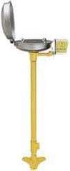 Bradley - Pedestal Mount, Stainless Steel Bowl, Eyewash Station - 1/2" Inlet, 30 psi Flow, 0.4 GPM Flow Rate - Benchmark Tooling