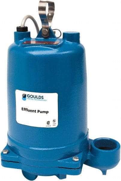 Goulds Pumps - 1 hp, 575 Amp Rating, 575 Volts, Single Speed Continuous Duty Operation, Effluent Pump - 3 Phase, Cast Iron Housing - Benchmark Tooling