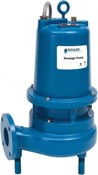 Goulds Pumps - 3 hp, 460 Amp Rating, 460 Volts, Single Speed Continuous Duty Operation, Sewage Pump - 3 Phase, Cast Iron Housing - Benchmark Tooling