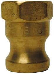 EVER-TITE Coupling Products - 3" Brass Cam & Groove Suction & Discharge Hose Male Adapter Female NPT Thread - Part A, 3" Thread, 250 Max psi - Benchmark Tooling