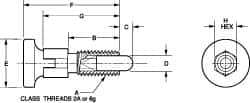 Vlier - M10x1.5, 20mm Thread Length, 0.236" Max Plunger Diam, 0.22 Lb Init to 2.02 Lb Final End Force, Knob Handle Plunger - Delrin Knob, 0.98" Body Length, 0.79" Length Under Head/Shoulder, 0.196" Plunger Projection - Benchmark Tooling