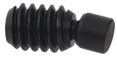 Vlier - No. 10-32, 1/2" OAL, Stainless Steel, Swivel Pad - Delrin Pad, Black Oxide Finish, 0.146" Pad Diam, 11/32" Thread Length, 7.5° Swivel Angle, 3/32" Hex Key - Benchmark Tooling